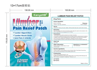Lumbar Pain Relief Patch (Lumbar Pain Relief Patch Label(83713 002 12))